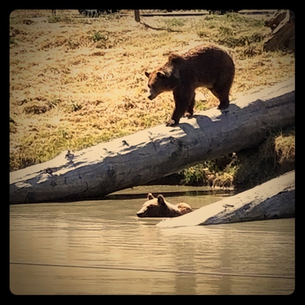 Meet your Posher, Lynn